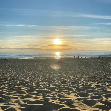La Maison Du Cotton- Bio-climatique 3* Andernos-les-Bains