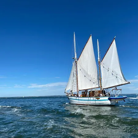 La Maison Du Cotton- Bio-climatique Pensionat 3*