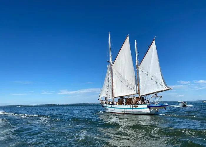 La Maison Du Cotton- Bio-climatique بيت ضيافة 3*